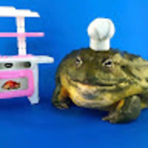 Meet your Posher, Peggy